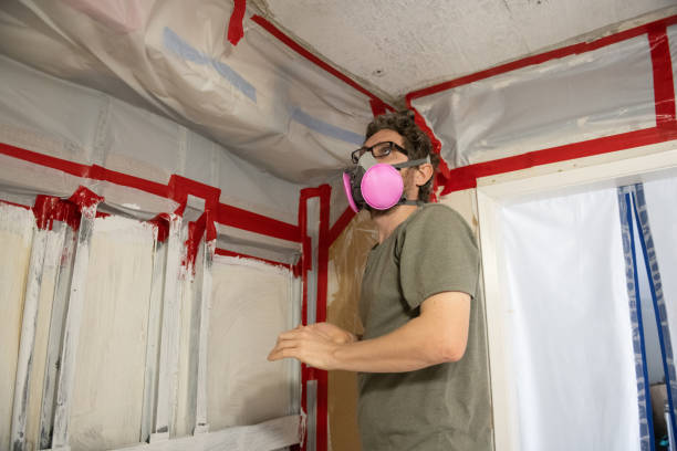 Biohazard Mold Removal in Manatee Road, FL